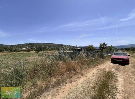 Milas Kuzyaka'da Satılık Tarla!!!