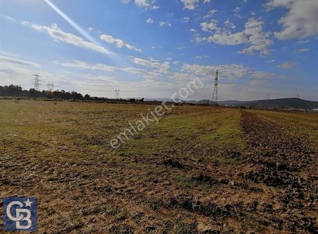 Aliağa Helvacı'da Satılık 10.900m2 Tarla