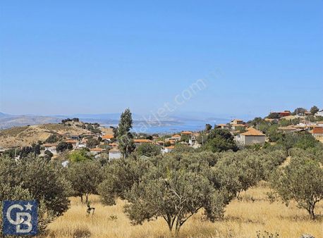 Aliağa Aşağışakranda Deniz Manzaralı 12.5 Dönüm Tarla Ve Çiftlik