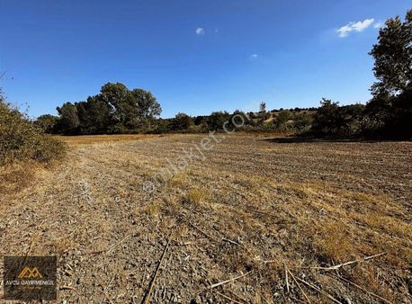 Avcu Dan Hamitabatta 3.500 M2 Etrafı Ağaçlık Arazi