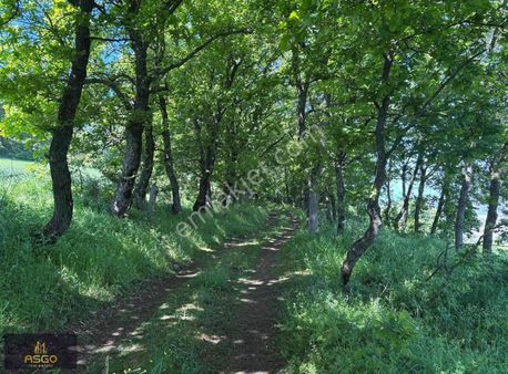 Asgo Dan Manyas Kubaş Mah. Satılık Tarla