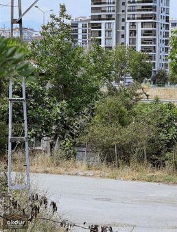 Akdur Dan Canik Te Kelepir Arsa