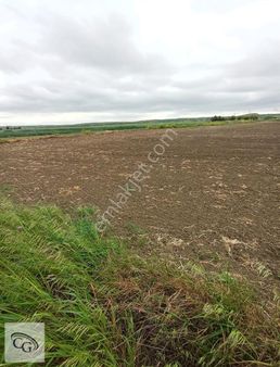 Çorlu-şahpaz'da Yerleşime Yakın 9700 M² Tarla