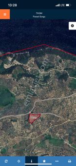 Mudanya Halilbey' De Yatırımlık Kadastro Yolu Olan Zeytinlik