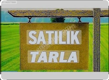 *** Temelli Çokörende 32 851 M2 Tarla ***