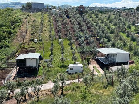 Gemlik Kurtul' Da Hobi Bahçesi