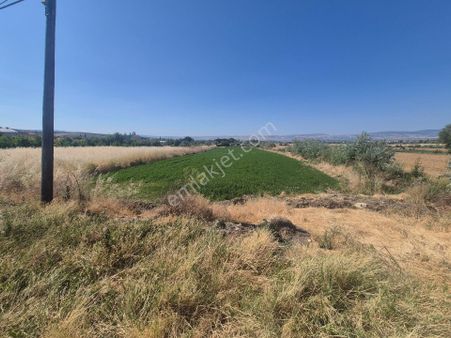 Erkan Anbar Dan Satılık İmarlı Tarla Suluova Kolay Köyü