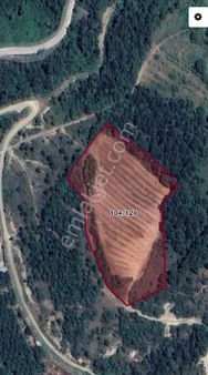 Roma ‘dan Sarıpınar ‘da Satılık Armut Bahçesi