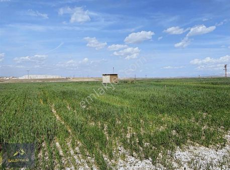 Salih Emlak Tan Kayseri Yolu Lojistik İstasyonu Karşısı Tarla