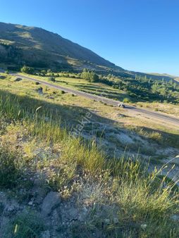 Hayvancılık İçin Projeli Parseller (lütfen Açıklamayı Okuyunuz )