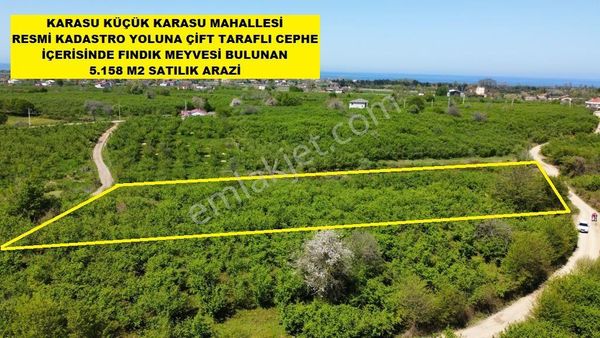 Karasu'da Deniz Manzaralı Çift Yola Cephe 5 Dönüm Fındıklık
