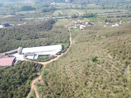 Karasu'da Ev Yapımına Uygun 5.185 M2 Satılık Fındıklık