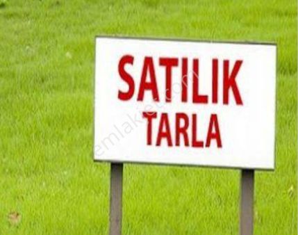 Tekirdağ Süleymanpaşa İlçesi Karacakılavuz Mahallesi'nde 4.200 M2 Satılık Tarla