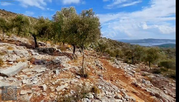 Deniz Manzaralı Kooperatif Hissesi