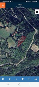 Sinop Gerze Sarnıç Köyünde Atalay Emlak Tan Satılık Tarla