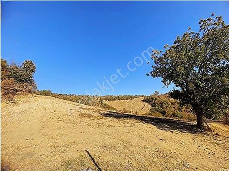 İzmir Kiraz'da Satılık Arsa