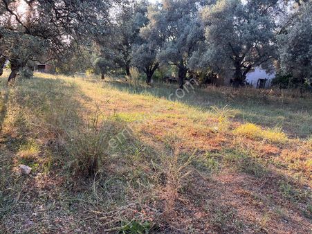 Yıldırım Mühendislik'ten Tuzabat Mah.320 M2 Arsa