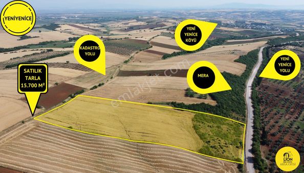 Bandırma Yeniyenice Mahallesinde Yola Cephe Fırsat Tarla