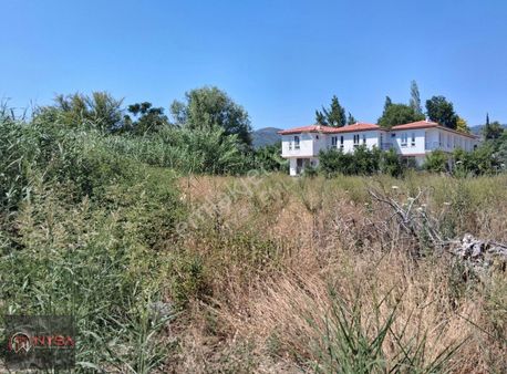 Nysa Emlak'tan Çaylı Mh 769 M2 Satılık Arsa