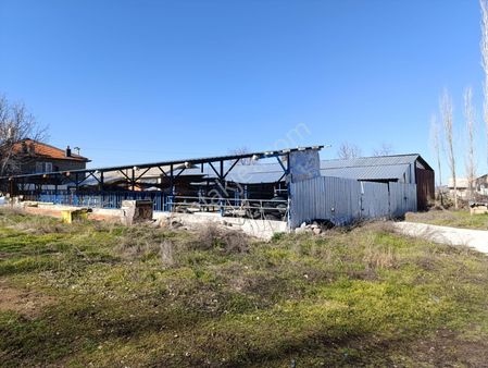 Satılık Besi Damı 80+ Kapasiteli + Ev + 11 Arsa