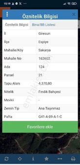 Espiye Sakarya Köyü Tek Tapu Satılık Fındık Bahçesi