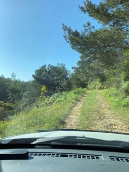 Yalıkavak Gökçebel Satılık Tarla