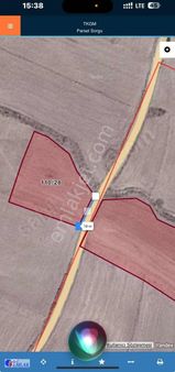 Paşalı Ortaokulu Na Mesafesi 950 Civarında