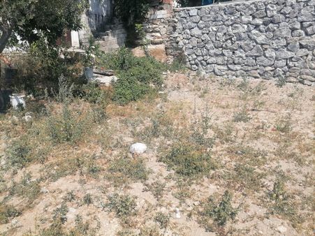 Bağarası Köyü Sökede Satılık Arsa