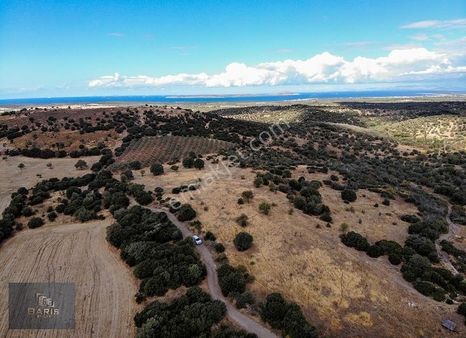 Ezine Kemallı Köyünde Satılık Tarla