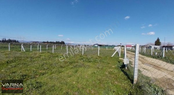 İzmir Menderes Develi Akçaalan Mevkiğinde 450 M2 Bahçe