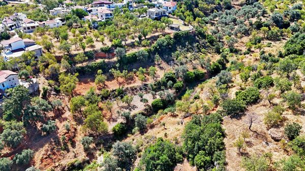 Remax Badem'den Datça Cumalı'da Satılık 1419 M2 Bademlik