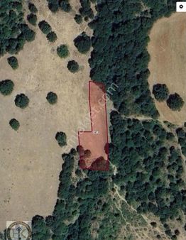 Tekirdağ Şarköy Mursallı 1492 M² Satılık Arsa