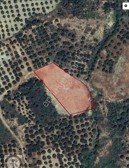 Tekirdağ Şarköy Kirazlı 2713 M² Satılık Arsa