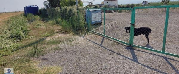 Seyrekte Kiralık 5000 M2 530 M2 Kapalı Alan