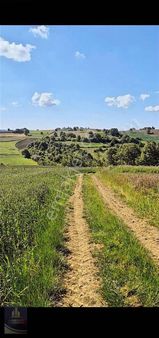 Kandıra Selimköy 6.219 M2 Resmi Yollu Satılık Arazi