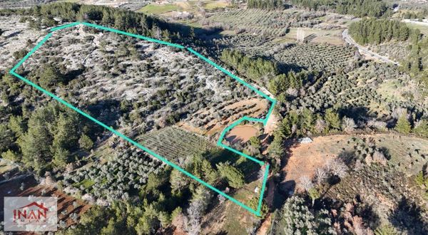 Yerkesik'te 14693 M² Tarla İki Tapu