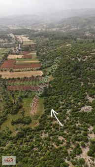 Yerkesik Karaaliler Mevkiinde Yerleşime 350 Mt De 1595 M² Tarla