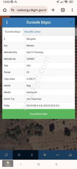 Çat Karnıyarık Ta 3.200 M2 Bağ