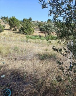 Buca Kırıklar'da 306 M² Tapulu Tarla