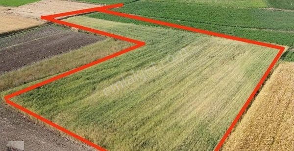 Sakarya Kaynaraca Gazilerde Satılık Tarla