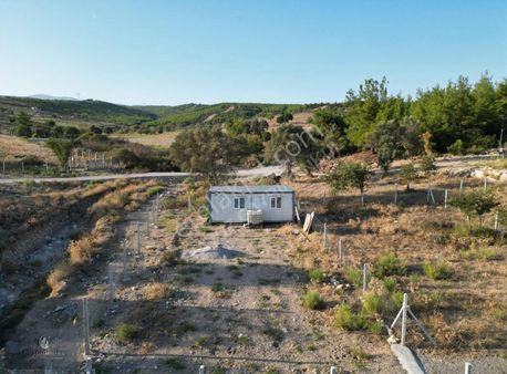 Yavuz'dan Akçaköy Mah. Satılık 250 M2 Kök Hisse Tapulu Bahçe