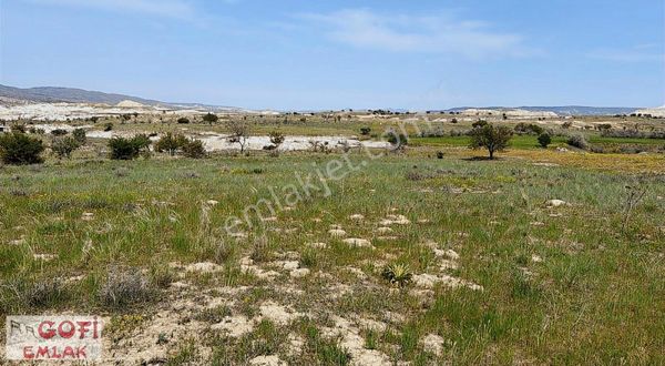 "gofi Emlak" Avanos Yolu 3560m2 Tarla