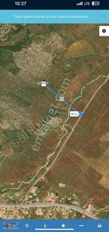 Mugla Milas Pınarcıkta Yatırım Fırsatı Zeytinlik