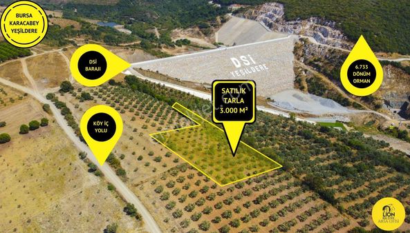 Bursa Karacabey Yeşildere'de İçerisinde Yetişkin Ağaçlar Bulunan Satılık 3.000m² Tarla