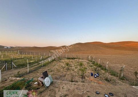 Gölbaşı Bağiçi Köyü’nde 500 M² Hobi Bahçesi – Doğayla İç İçe Keyifli Alan!