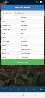 Erdek Kestanelikte Satılık Üzüm Bağı