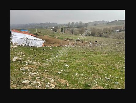 Alırken Kazanmanın Adresi ''fırsat Müzayede''