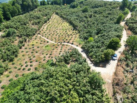 Akçakoca Hasançavuş'da % 40 İmarlı 2500 M2 Satılık Arazi