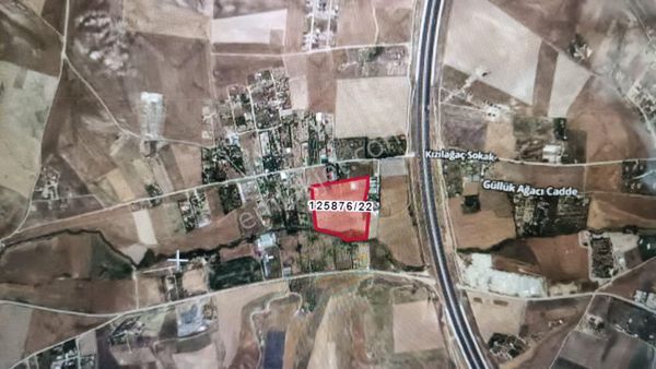 Gölbaşı Yavrucak'da Ankara Niğde Otobanı Yanında İfraz Tapulu Satılık Tarla