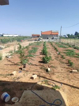 Realite Tapu Muhamed Yürük'ten Kısas'ta Satılık Bağ Evi